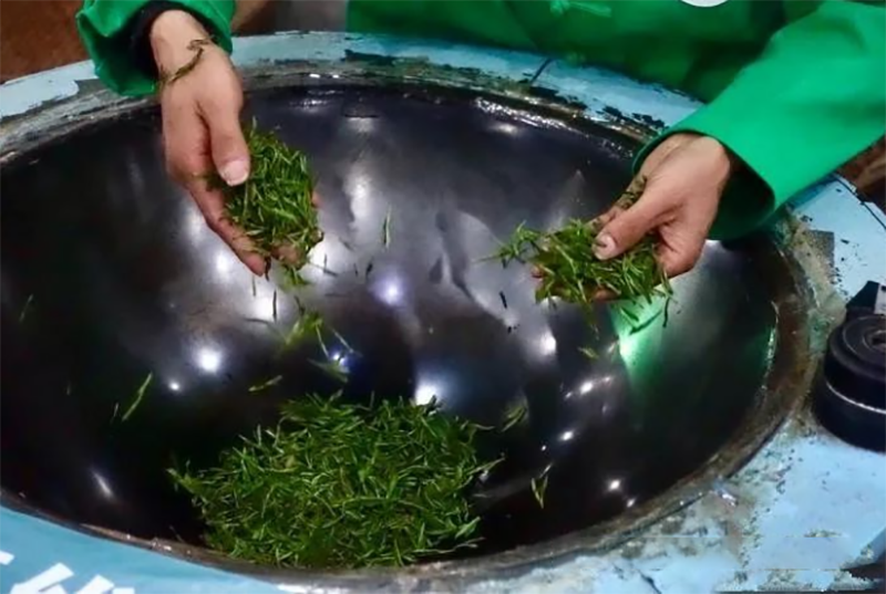 有关于浙江茶界：杭州西湖龙井炒茶大赛41人竞逐“炒茶王”传非遗技艺的最新消息