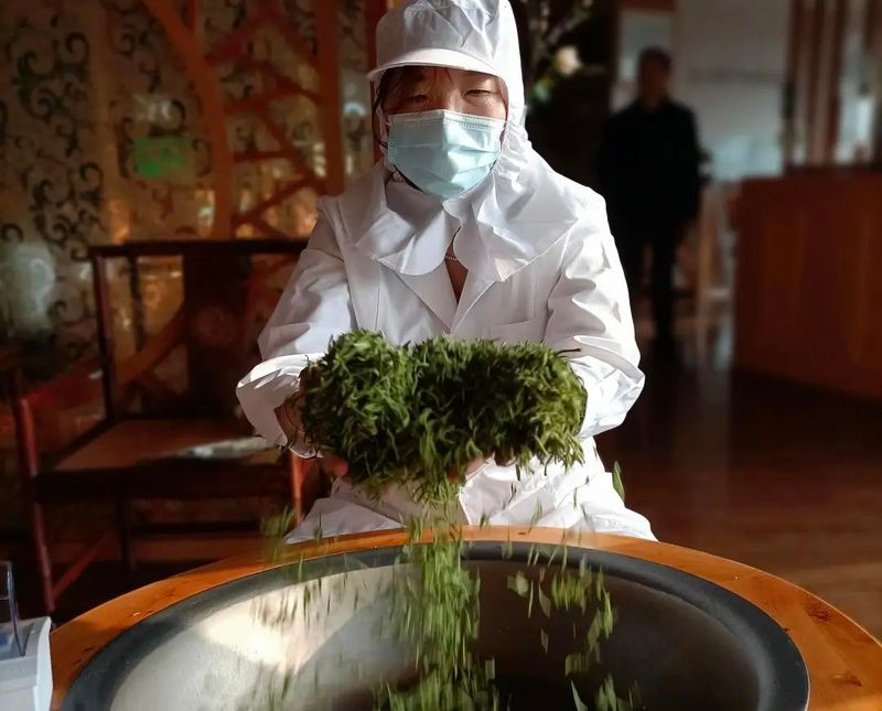 关于南京市高淳区青山茶场千亩春茶全面进入采摘期的资讯(1)