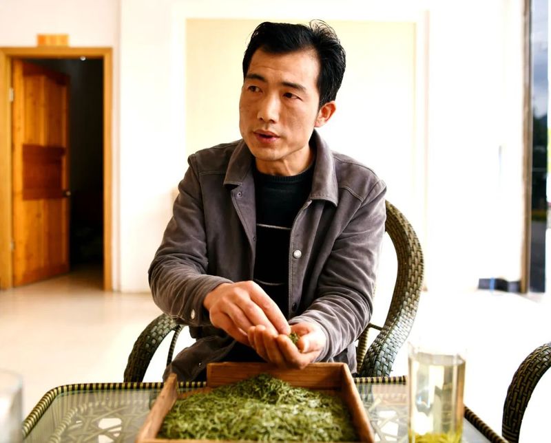 关于湄潭：茶农抢采明前茶，茶企生产加工忙的最新消息(5)