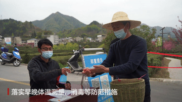 有关于陕西紫阳：防疫不误春茶生产的相关信息(1)