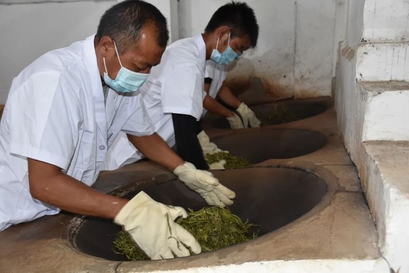 关于德化镇：以茶兴业 以茶富民 乡村振兴大有“钱”景的新闻
