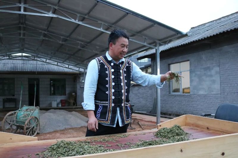 关于德化镇：以茶兴业 以茶富民 乡村振兴大有“钱”景的新闻(2)