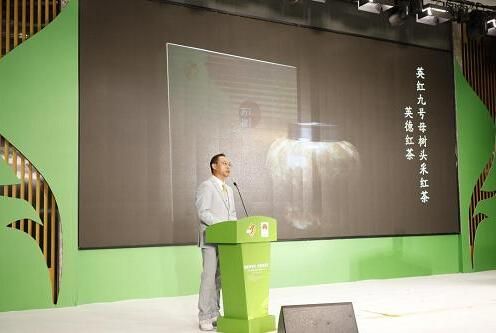 有关于2022第四届中国·英德红茶头采节开幕的相关内容(4)