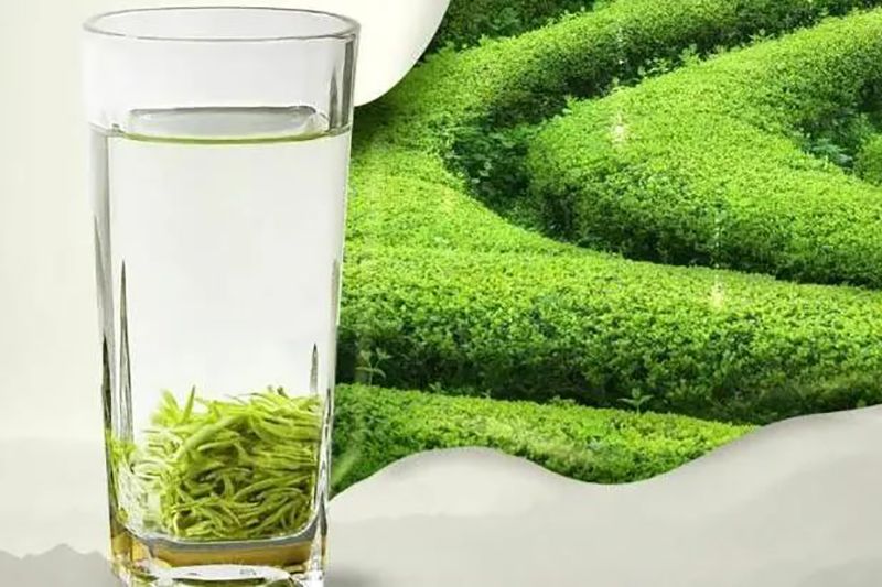 关于赣鄱·茶情：清明茶正香情更浓的内容(7)