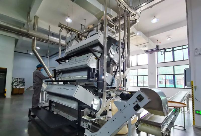 关于福鼎白茶做精“茶业文章”,推动产业可持续发展!的相关信息(10)
