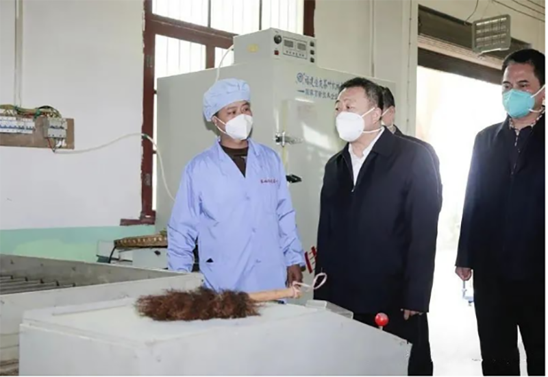 关于武文罡在紫阳调研检查疫情防控和春茶生产工作的内容