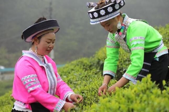 有关于龙里县湾滩河镇:年产值达8500万!的最新消息(2)