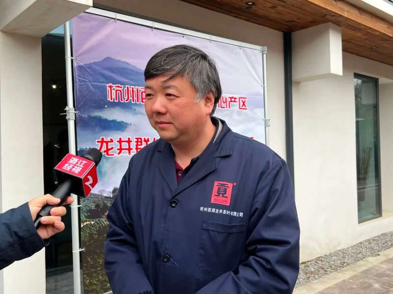 有关于西湖龙井茶核心产区群体种顶尖茶长啥样？精品茶样展示一睹芳容的内容(8)