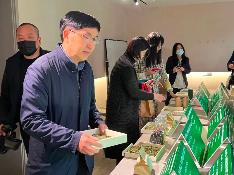 有关于西湖龙井茶核心产区群体种顶尖茶长啥样？精品茶样展示一睹芳容的内容(9)