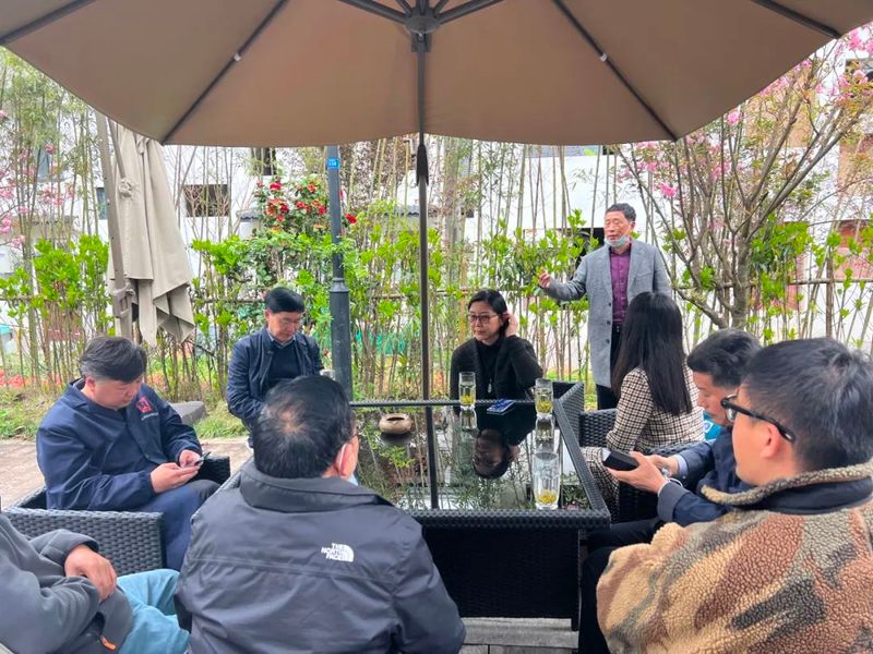 有关于西湖龙井茶核心产区群体种顶尖茶长啥样？精品茶样展示一睹芳容的内容(1)