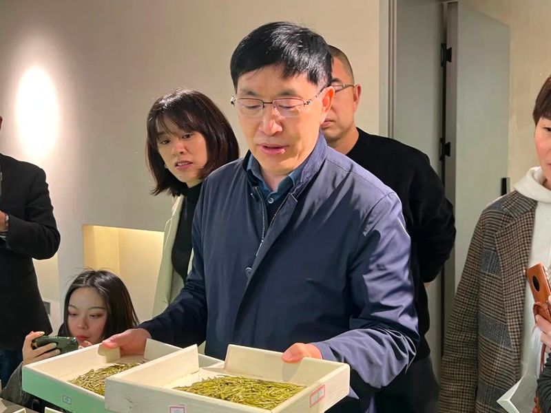 有关于西湖龙井茶核心产区群体种顶尖茶长啥样？精品茶样展示一睹芳容的内容(6)