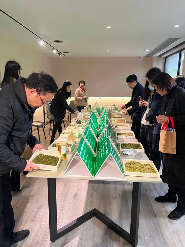 有关于西湖龙井茶核心产区群体种顶尖茶长啥样？精品茶样展示一睹芳容的内容(11)