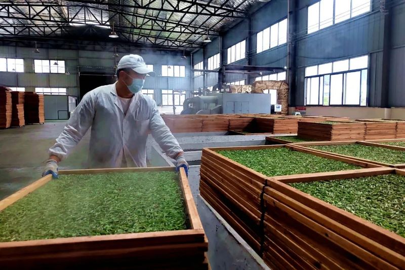 关于茶韵·湄潭,画春茶业:用茶叶勾画春天的信息(1)