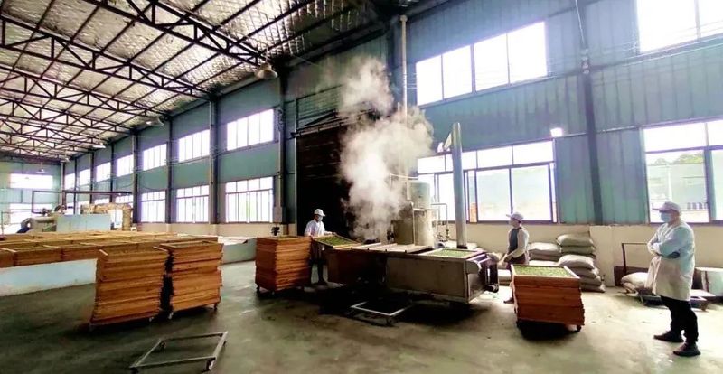 关于茶韵·湄潭，画春茶业：用茶叶勾画春天的信息(2)