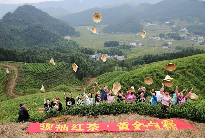 关于四川宜宾：筠连县红色茶乡旅游行的新闻(4)