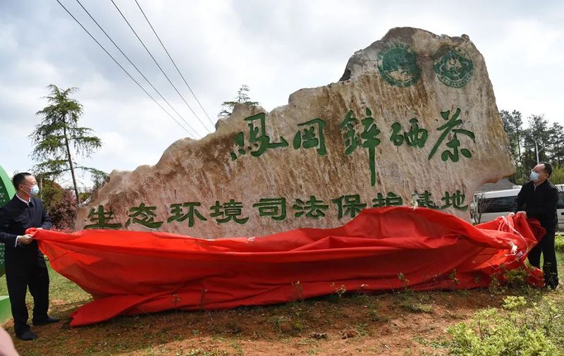 有关于凤冈锌硒茶：凤冈县举行凤冈锌硒茶生态环境司法保护基地揭牌仪式的最新消息