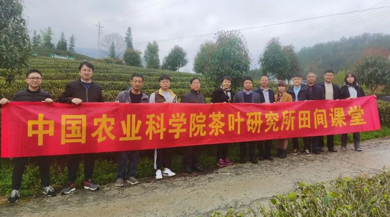 有关于中国农业科学院茶叶研究所专家赴五峰开展茶产业技术服务的资讯(1)