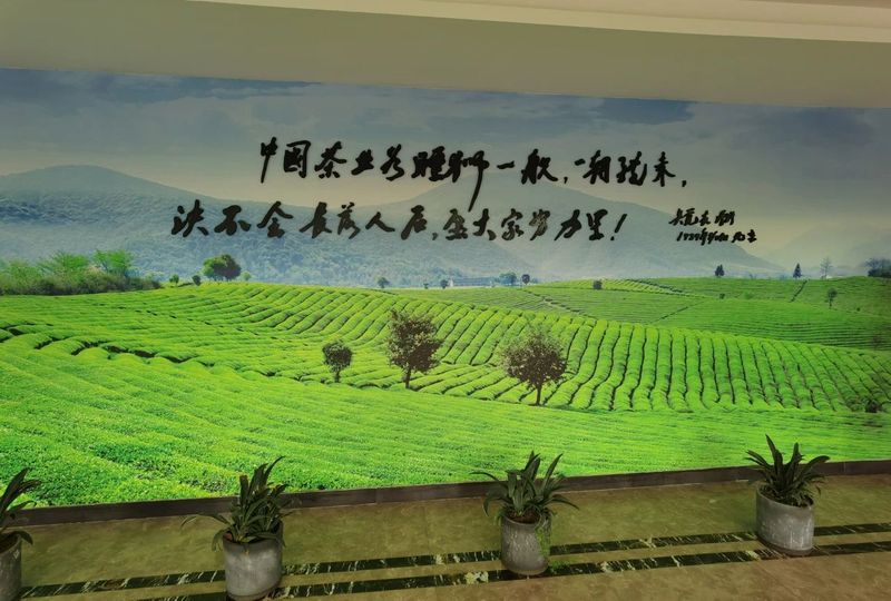 关于只此青绿 觉农·翠茗,一杯新茶敬茶圣——纪念当代茶圣吴觉农诞辰 125 周年系列活动将全面启动的相关信息(1)