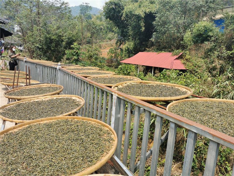 有关于3月茶行业资讯汇总的信息(2)
