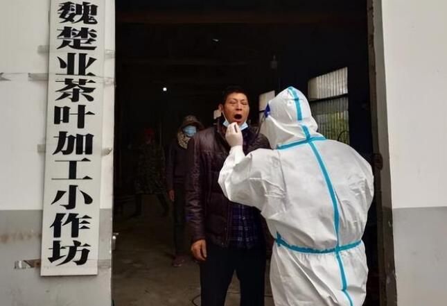 关于紫阳县双桥镇：多举措保障春茶采摘的消息(2)