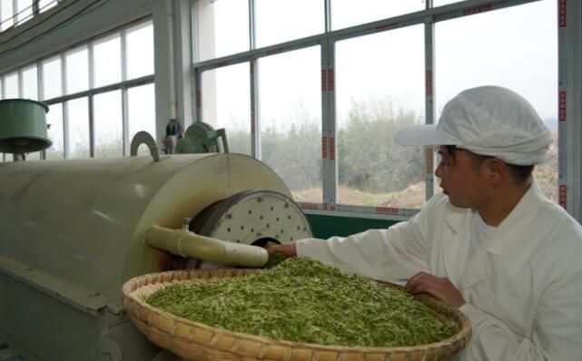 有关于沿河：15.8万亩春茶采摘忙的相关内容(7)