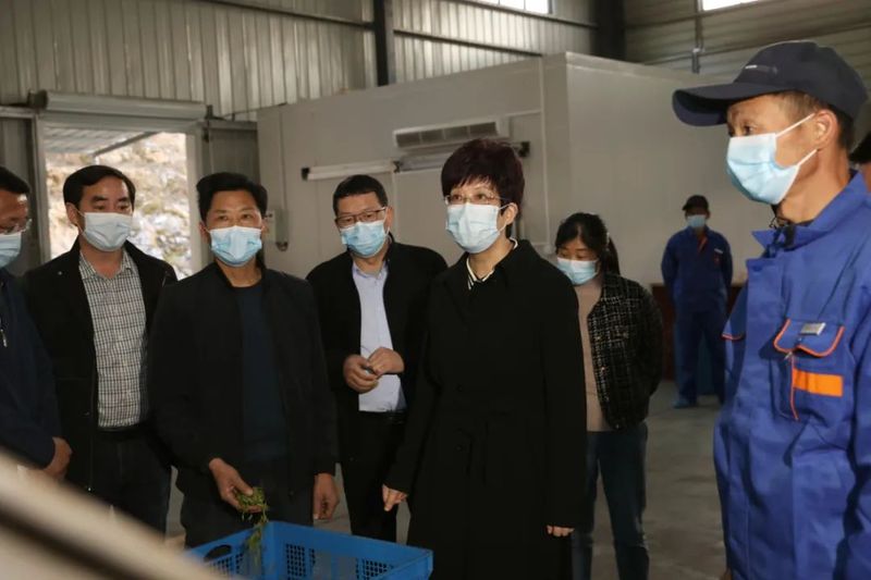 有关于徽茶资讯:黄山市委书记凌云:全力做好春茶生产工作的内容(2)