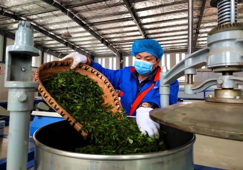 有关于茶韵·湄潭:贵黑茶业:种养产销有情怀,捧出一盏香茗来的资讯(1)