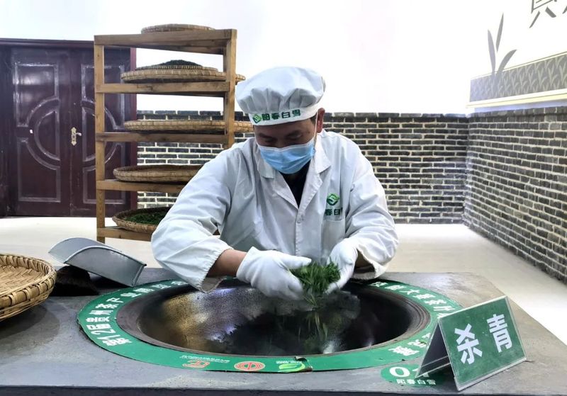 有关于茶韵·湄潭,中国制茶大师唐诗江:用“匠心”制好茶的消息
