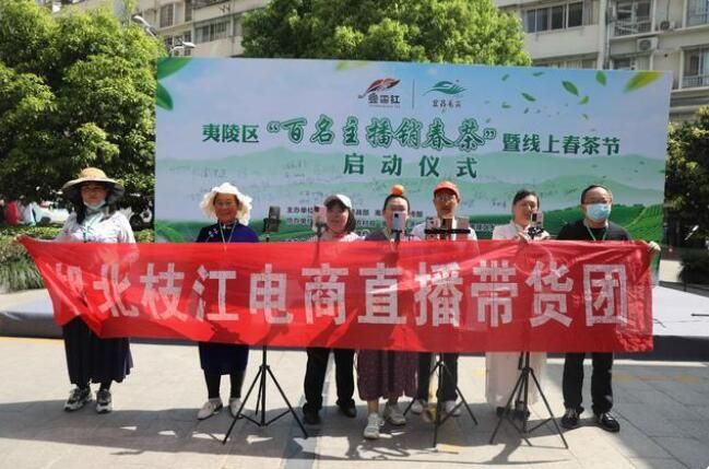 有关于湖北宜昌:百余名网络主播为三峡夷陵春茶代言的资讯(4)