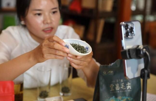 有关于湖北宜昌:百余名网络主播为三峡夷陵春茶代言的资讯(9)
