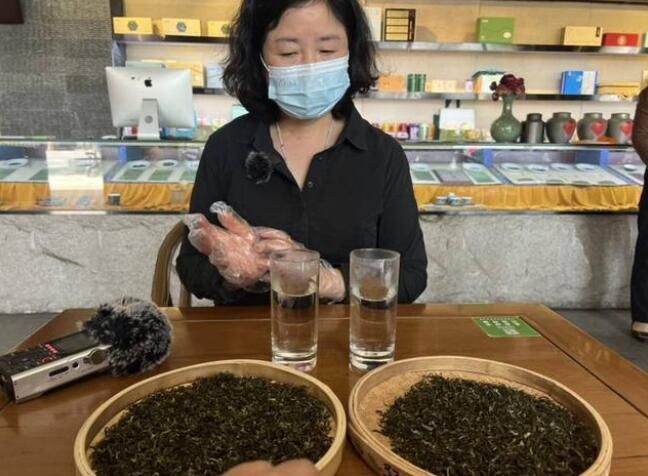 关于科技赋能苏州碧螺春茶产业升级的消息(2)