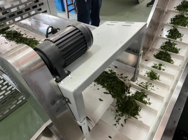 关于科技赋能苏州碧螺春茶产业升级的消息(3)