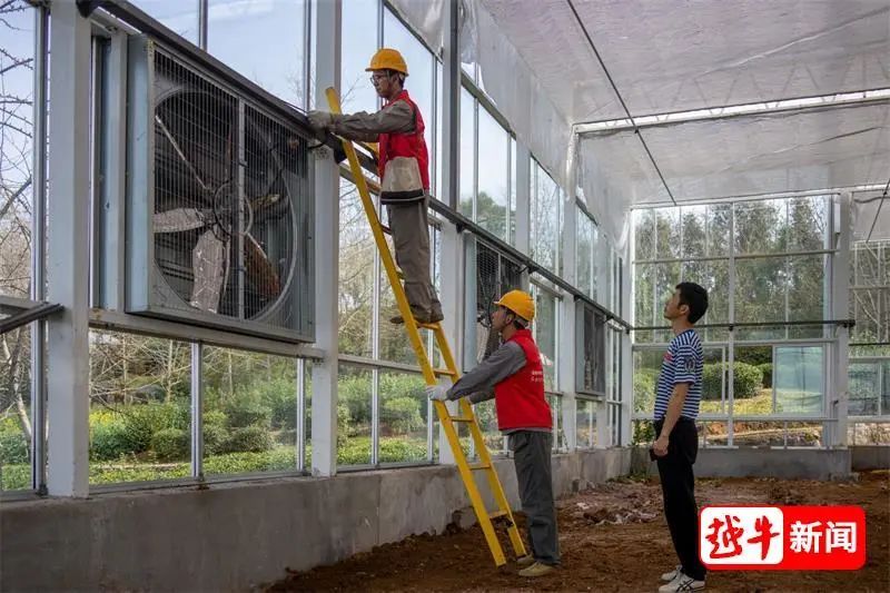 关于新昌·大佛龙井,与你同行,山上建了座“数字园”的相关内容(2)