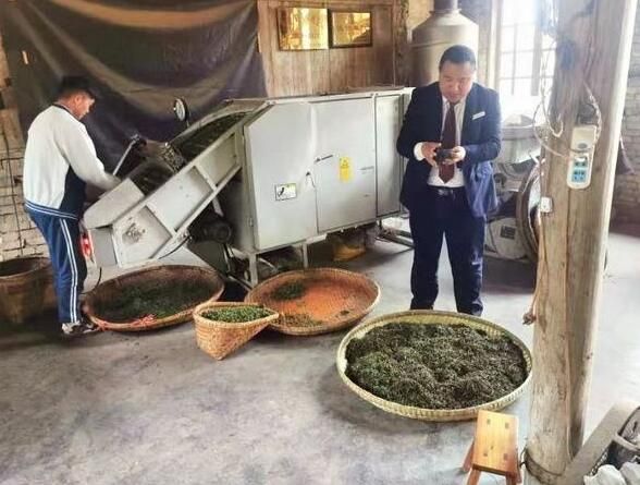 有关于镇远农商银行：以“贵人服务”奏响乡村振兴“茶”曲的内容(1)