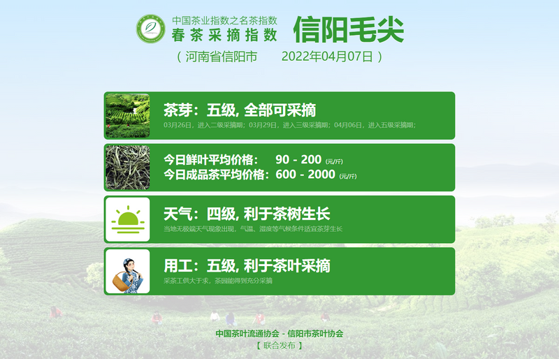 有关于春茶采摘指数：4月7日 洞庭碧螺春结束采摘，大佛龙井、六安瓜片发生变化的内容(4)