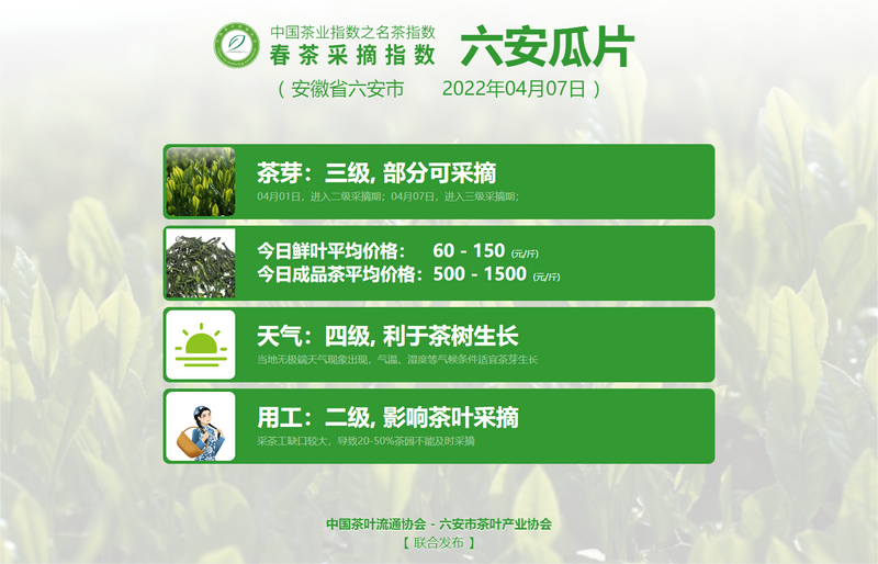有关于春茶采摘指数：4月7日 洞庭碧螺春结束采摘，大佛龙井、六安瓜片发生变化的内容(2)