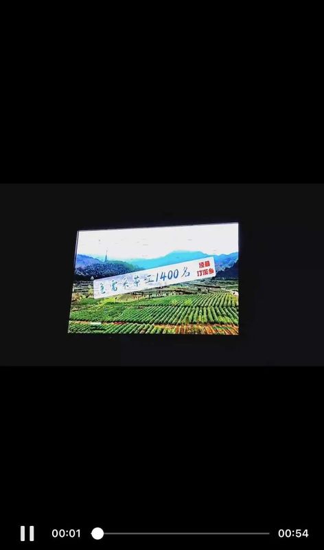 关于泾县：不负春光不负农 我为茶农找茶工的相关内容(7)
