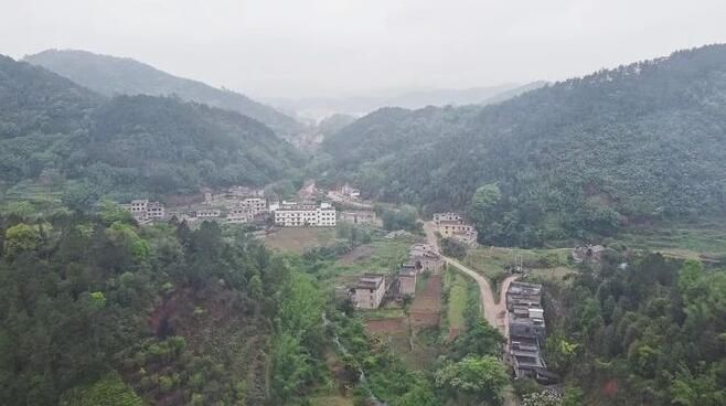 关于双凤镇:采茶种茶忙,不负好春光的消息(8)
