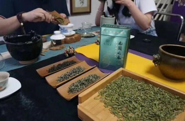 有关于贵州:晴隆春茶品鉴会在陕西省西安市举行的最新消息(1)