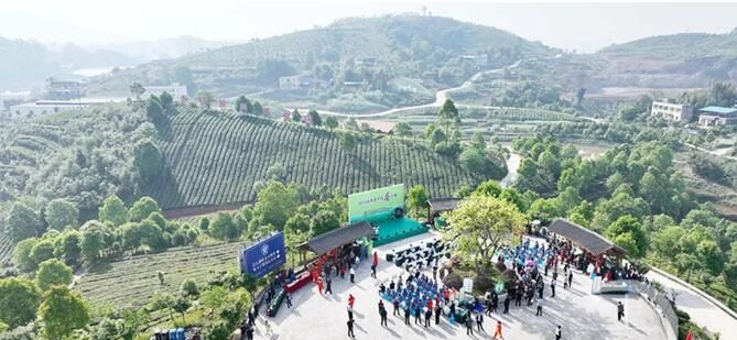 有关于重庆永川:秀芽采茶大赛4月8日举行的消息(4)