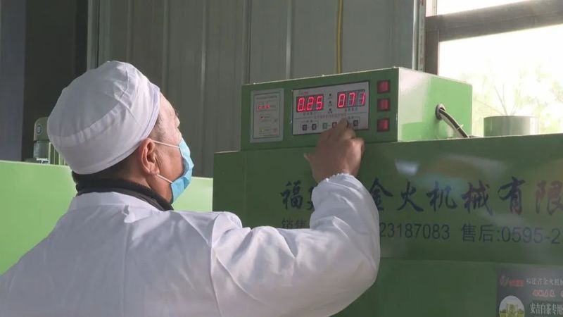 关于潜山龙潭白寨: 新建茶叶加工厂 拓宽致富增收路的内容(4)