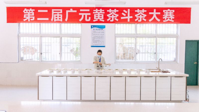 关于广元黄茶哪家香?第二届广元黄茶斗茶大赛结果出炉的资讯(3)