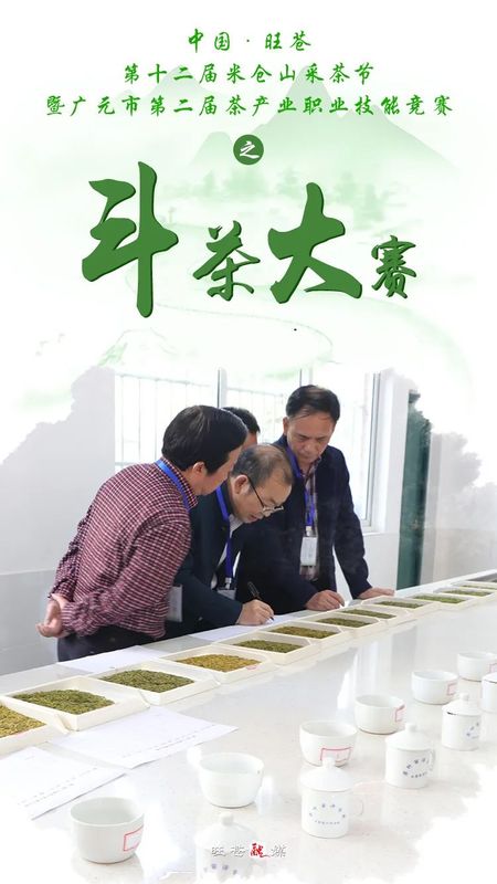 关于广元黄茶哪家香?第二届广元黄茶斗茶大赛结果出炉的资讯(1)