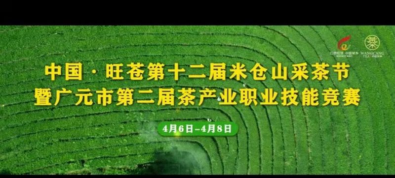 关于广元黄茶哪家香?第二届广元黄茶斗茶大赛结果出炉的资讯