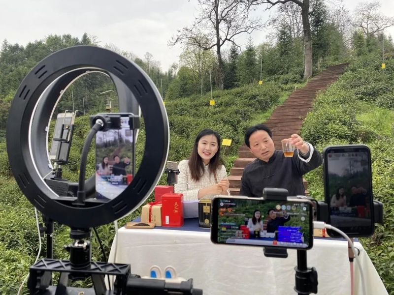 关于黄山：名优茶销售遇难题 调整结构改变营销方式的内容