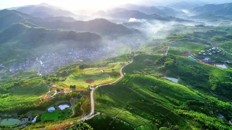 有关于2022中国（浙江·诸暨）三茶统筹发展高峰论坛即将举办的相关信息