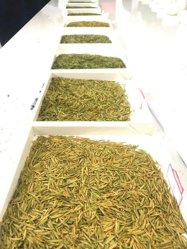 有关于第二届广元黄茶斗茶大赛于4月6日在旺苍县开赛的资讯(6)
