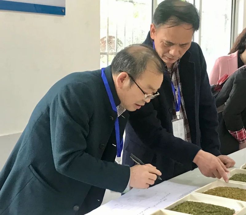 有关于第二届广元黄茶斗茶大赛于4月6日在旺苍县开赛的资讯(3)