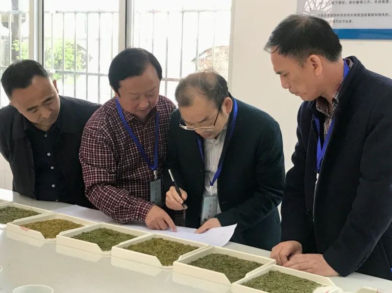 有关于第二届广元黄茶斗茶大赛于4月6日在旺苍县开赛的资讯(4)
