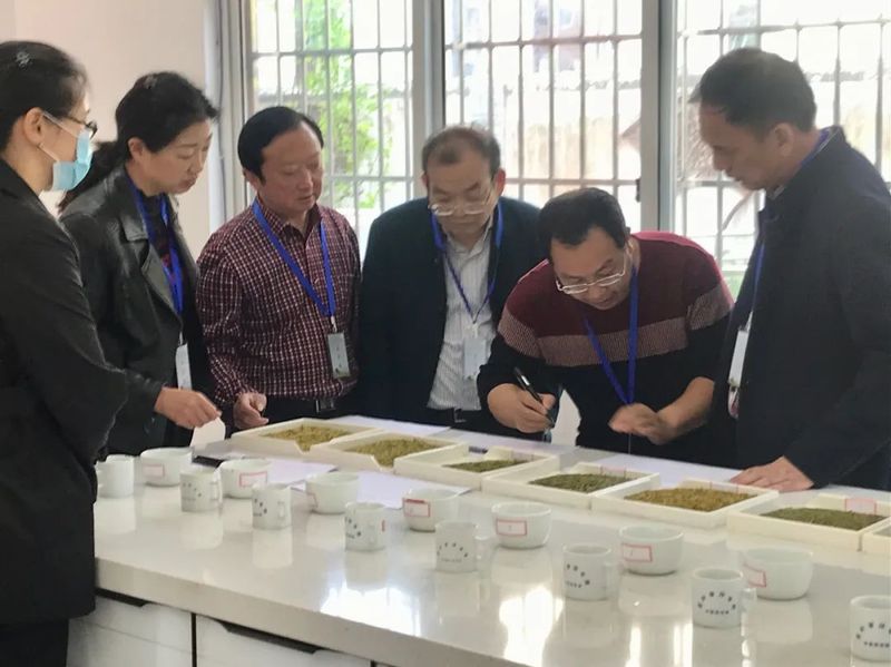 有关于第二届广元黄茶斗茶大赛于4月6日在旺苍县开赛的资讯(2)